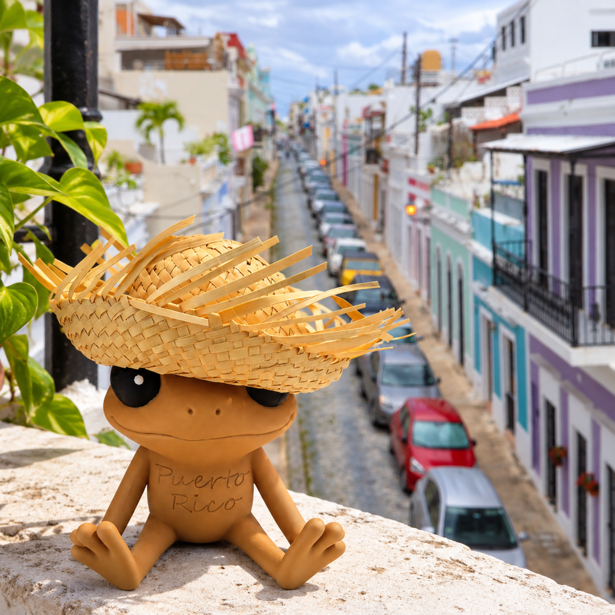 Coquí with Pava