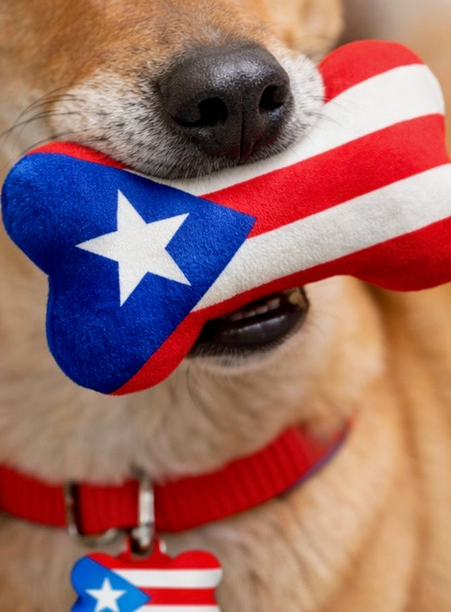 Boricua Bark Box  | Puerto Rican Dog Toy Gift Set