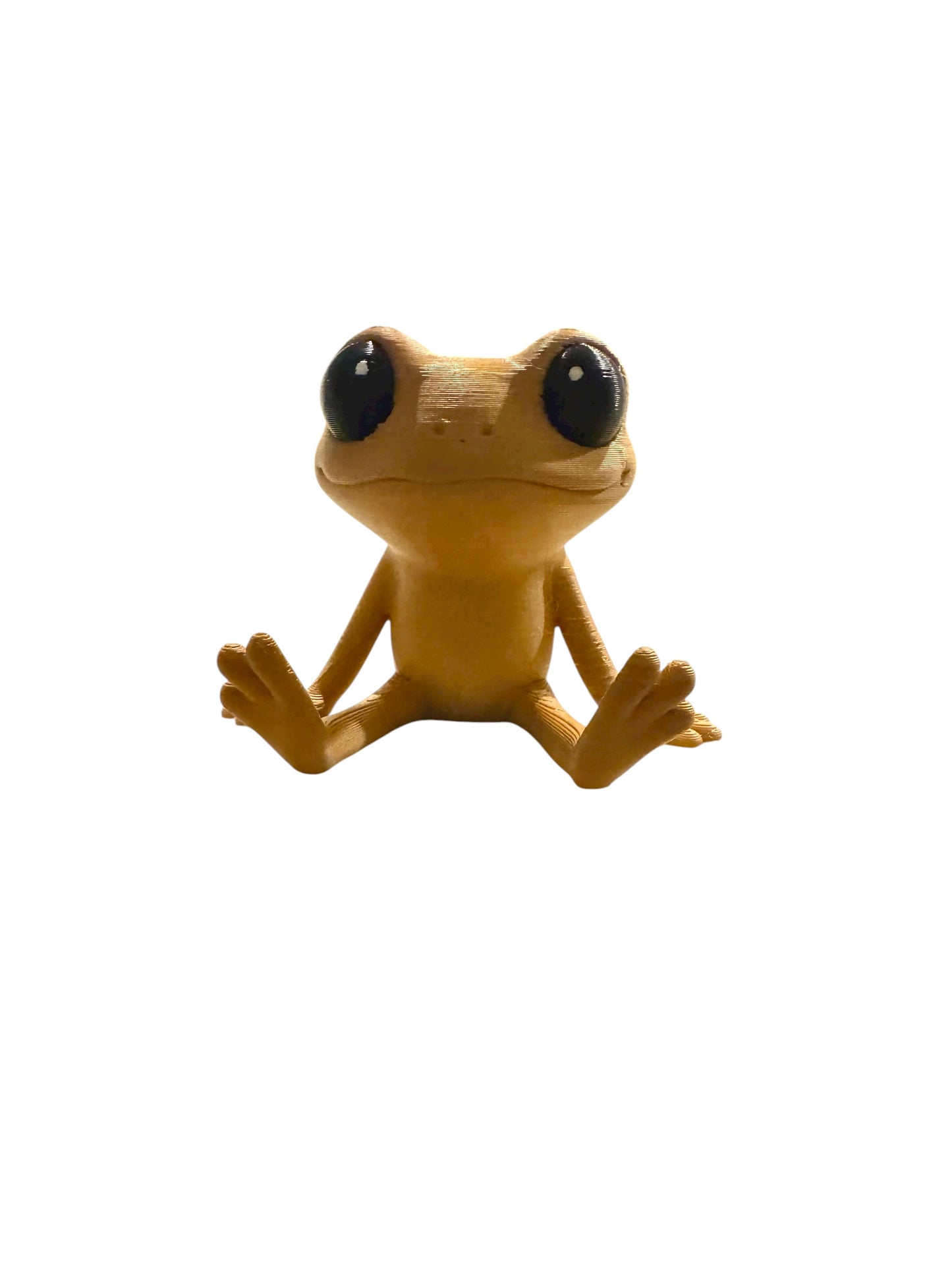 Puerto Rican Buddy Packs