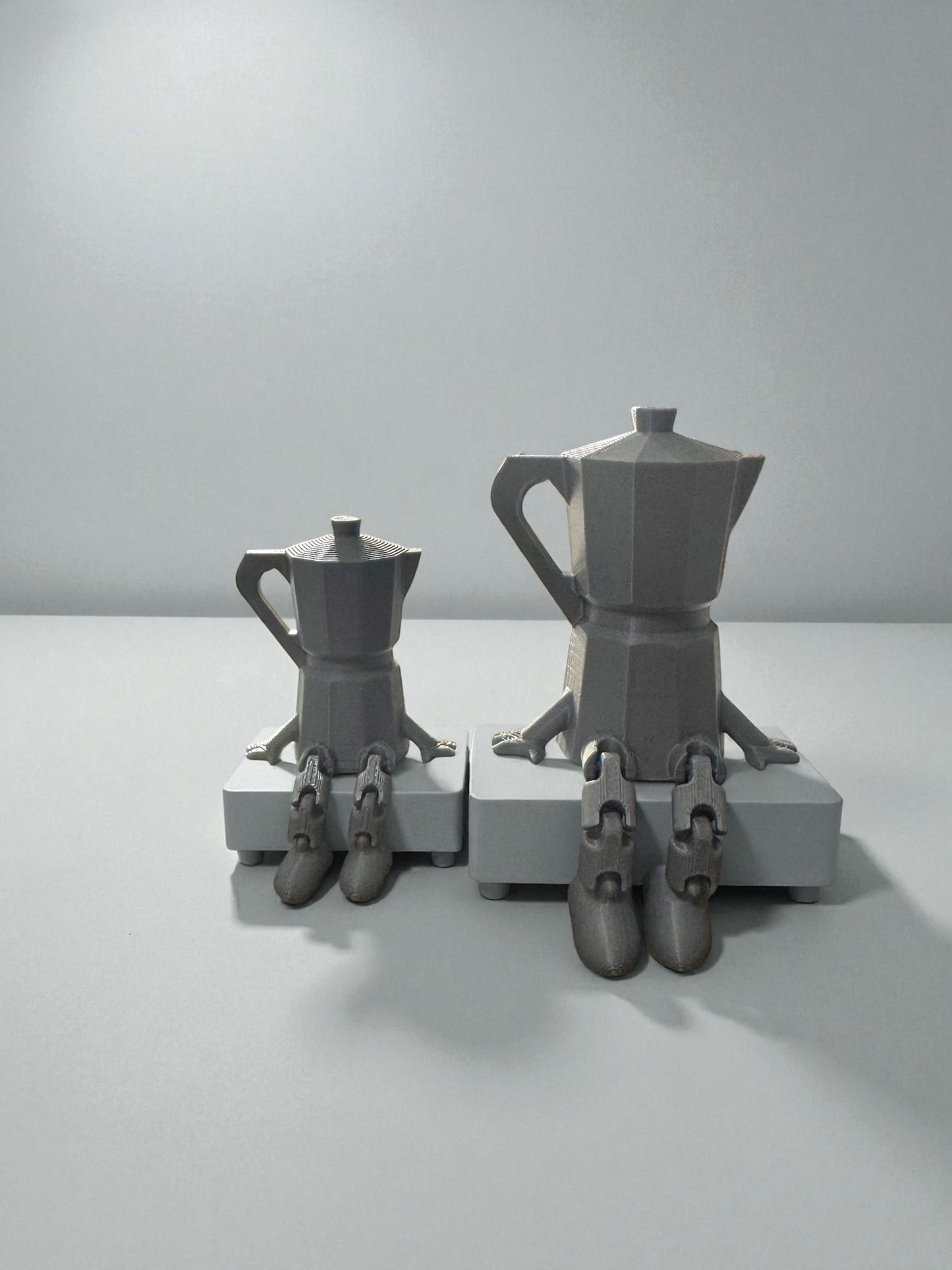 Puerto Rican Buddy Packs